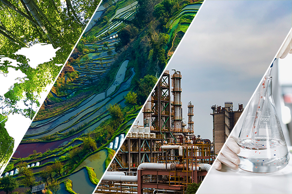 1667453443959426.jpg 1.jpg