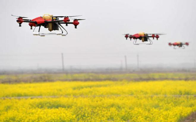 1667876032240814.jpg 2.jpg